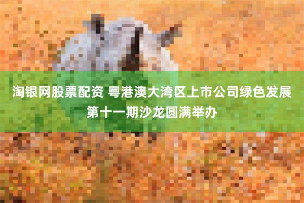 淘银网股票配资 粤港澳大湾区上市公司绿色发展第十一期沙龙圆满举办