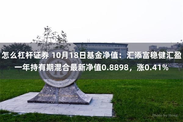 怎么杠杆证券 10月18日基金净值：汇添富稳健汇盈一年持有期混合最新净值0.8898，涨0.41%