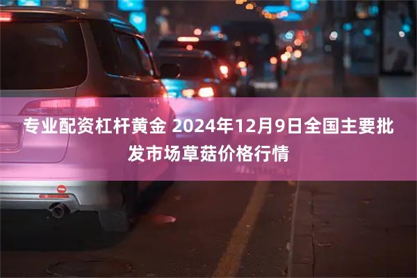 专业配资杠杆黄金 2024年12月9日全国主要批发市场草菇价格行情