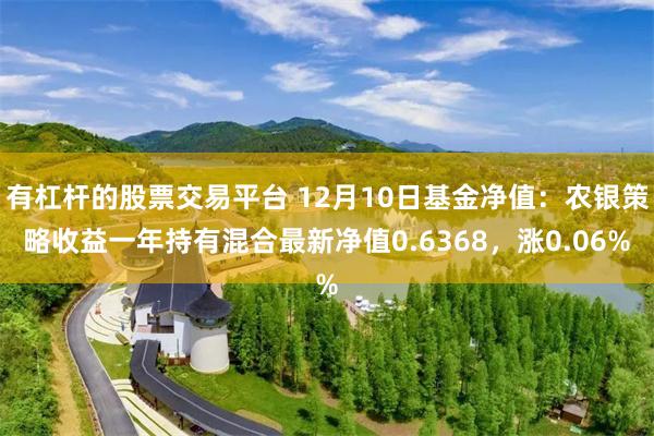 有杠杆的股票交易平台 12月10日基金净值：农银策略收益一年持有混合最新净值0.6368，涨0.06%