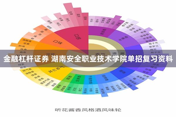 金融杠杆证券 湖南安全职业技术学院单招复习资料