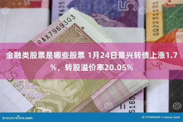 金融类股票是哪些股票 1月24日景兴转债上涨1.7%，转股溢价率20.05%