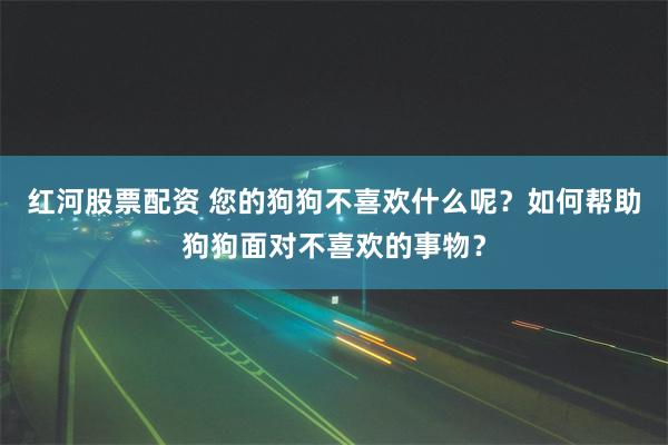 红河股票配资 您的狗狗不喜欢什么呢？如何帮助狗狗面对不喜欢的事物？